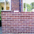 dyebrick 2